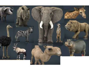 Vida selvagem africana Modelo 3D