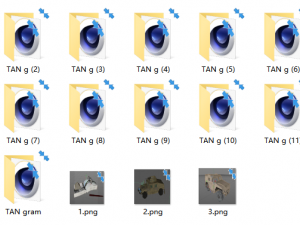 11 TAN grams Modèle 3D