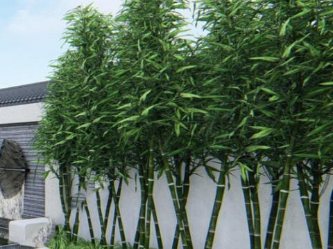 SU model of a garden 3D Модель