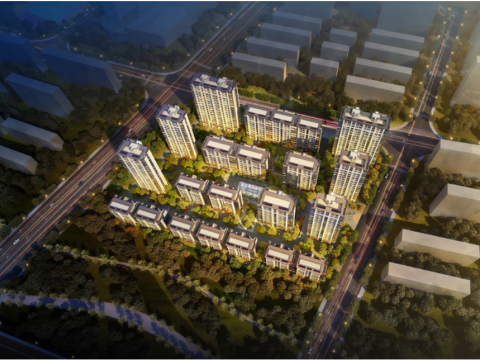 Demonstration Zone of a Century City Project 3D Model
