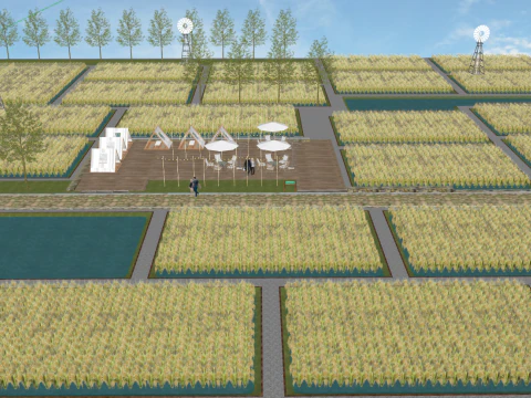 Модель SU красивого сельского рисового поля 3D Модель