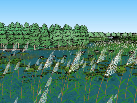 Sketchup model of wetland park landscape design Modello 3D
