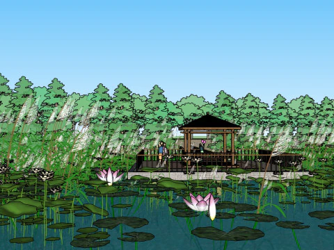 Sketchup model of wetland park landscape design 3D Model