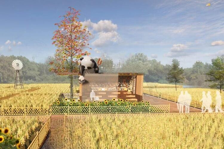SU Model of Rural Rice Field Landscape Model 3D .c4d .max .obj .3ds .fbx .stl .blend 