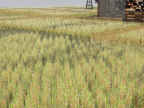 SU Model of Rural Rice Field Landscape Model 3D