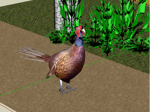 Animal SU model 3D 模型