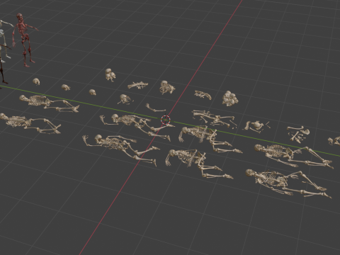 Human Remains Collection 3D Model