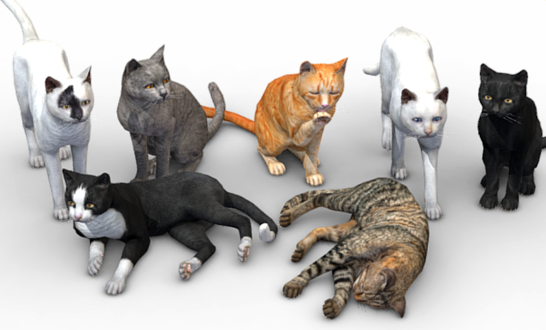 Realistic Cat Collection Modèle 3D .c4d .max .obj .3ds .fbx .stl .blend 