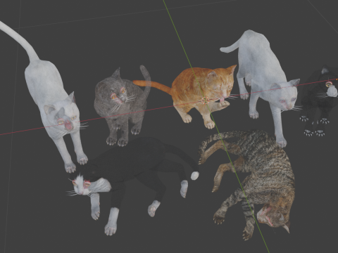 Realistic Cat Collection Modèle 3D