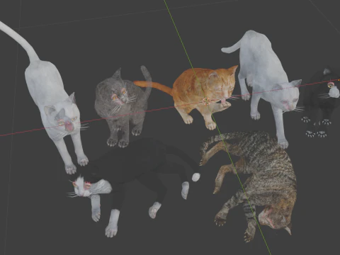 Realistic Cat Collection 3D Model