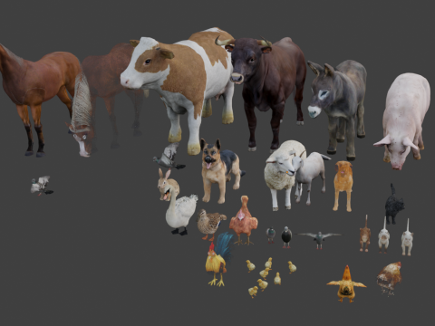 Realistic animals and livestock 3D Model