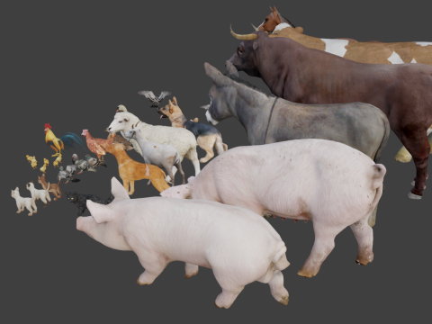 Realistic animals and livestock 3D Model