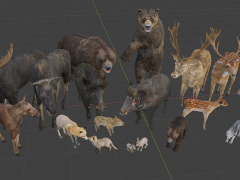 Realistic forest animals 3D Model