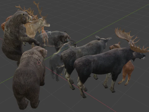 Realistic forest animals 3D Model