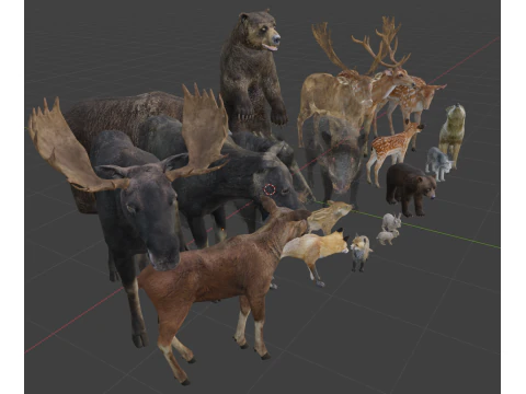 Realistic forest animals 3D Model