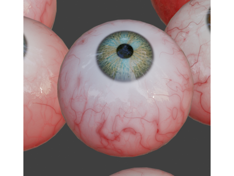 Human realistic eyeball 3D Model