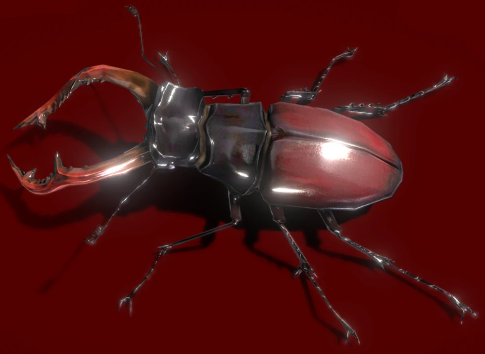 Realistic Bucks Beetle 3D Model .c4d .max .obj .3ds .fbx .stl .blend 