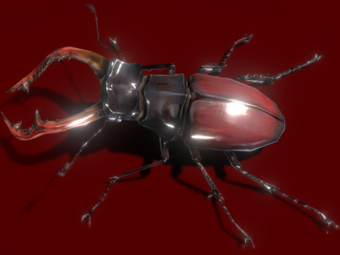 Realistic Bucks Beetle Model 3D