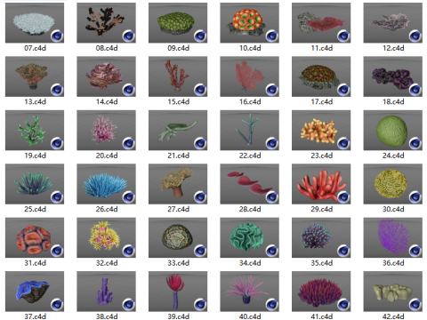 46 exquisite corals 3D Модель