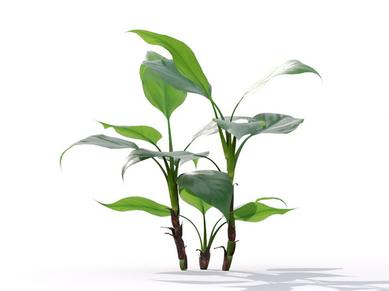 87 potted plants 3D Model .c4d .max .obj .3ds .fbx .stl .blend 