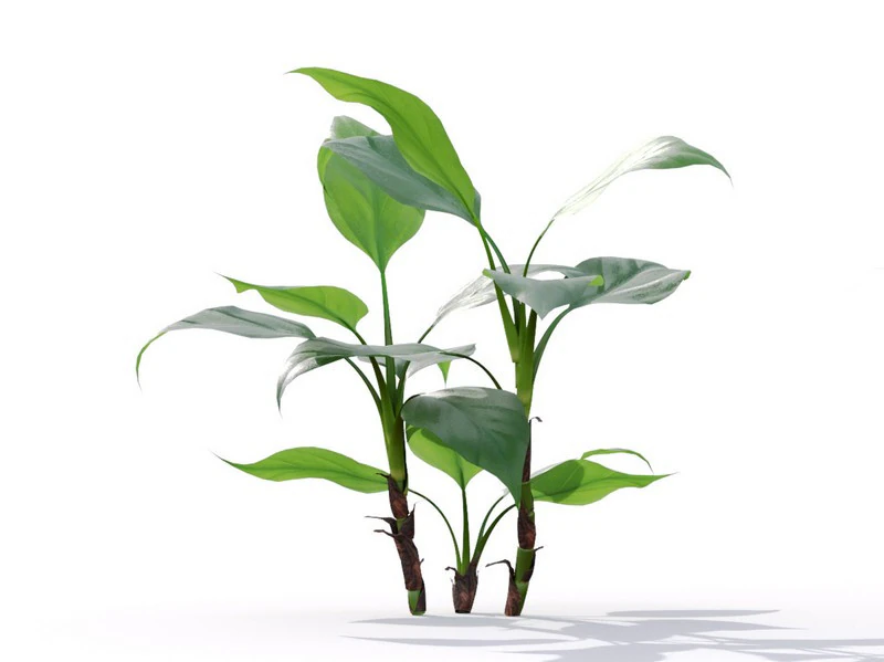 87 potted plants 3D Model .c4d .max .obj .3ds .fbx .stl .blend