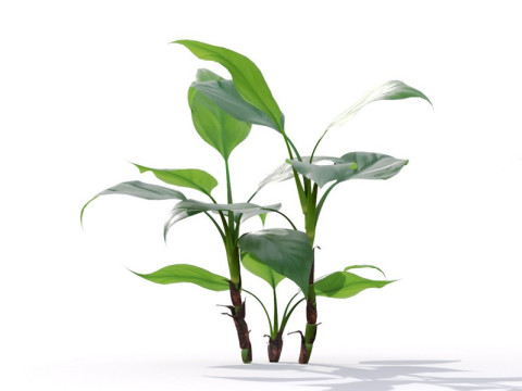 87 potted plants 3D Model