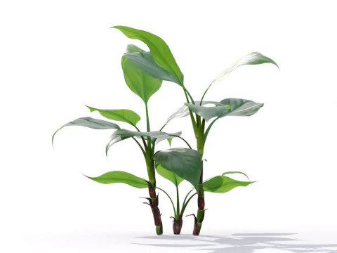87 vasos de plantas Modelo 3D