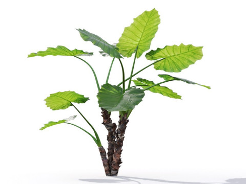 87 potted plants 3D Model