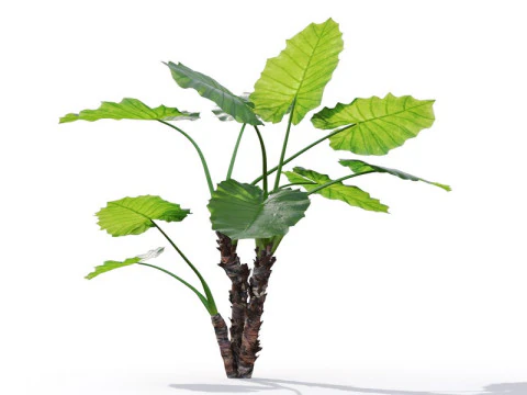 87 potted plants 3D Model