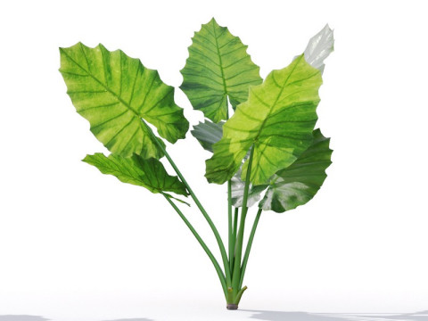 87 potted plants 3D Model