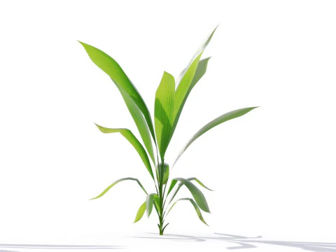 87 potted plants 3D Model
