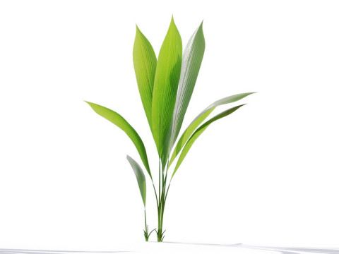 87 potted plants 3D Model