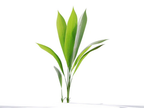 87 potted plants 3D Model