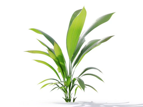 87 potted plants 3D Model