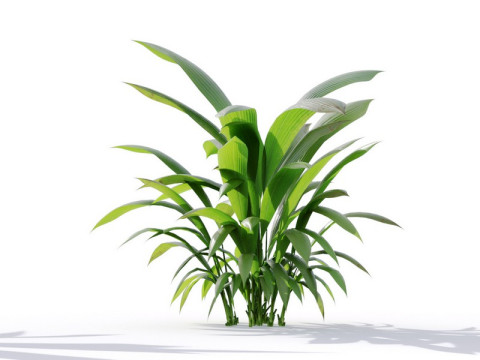 87 potted plants 3D Model