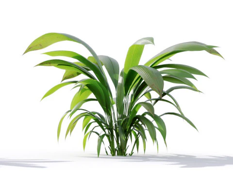 87 potted plants 3D Model