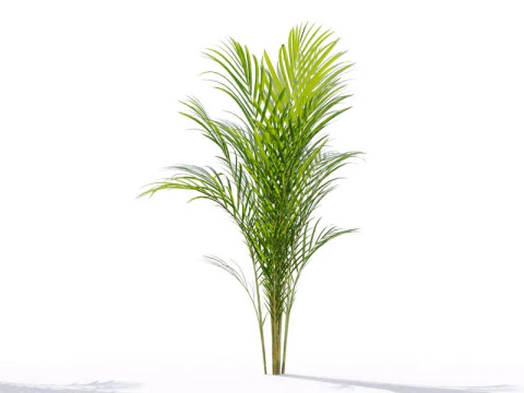 87 potted plants 3D Model
