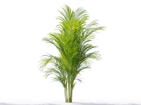 87 potted plants 3D Model