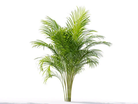 87 potted plants 3D Model