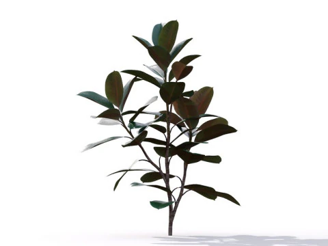 87 potted plants 3D Model
