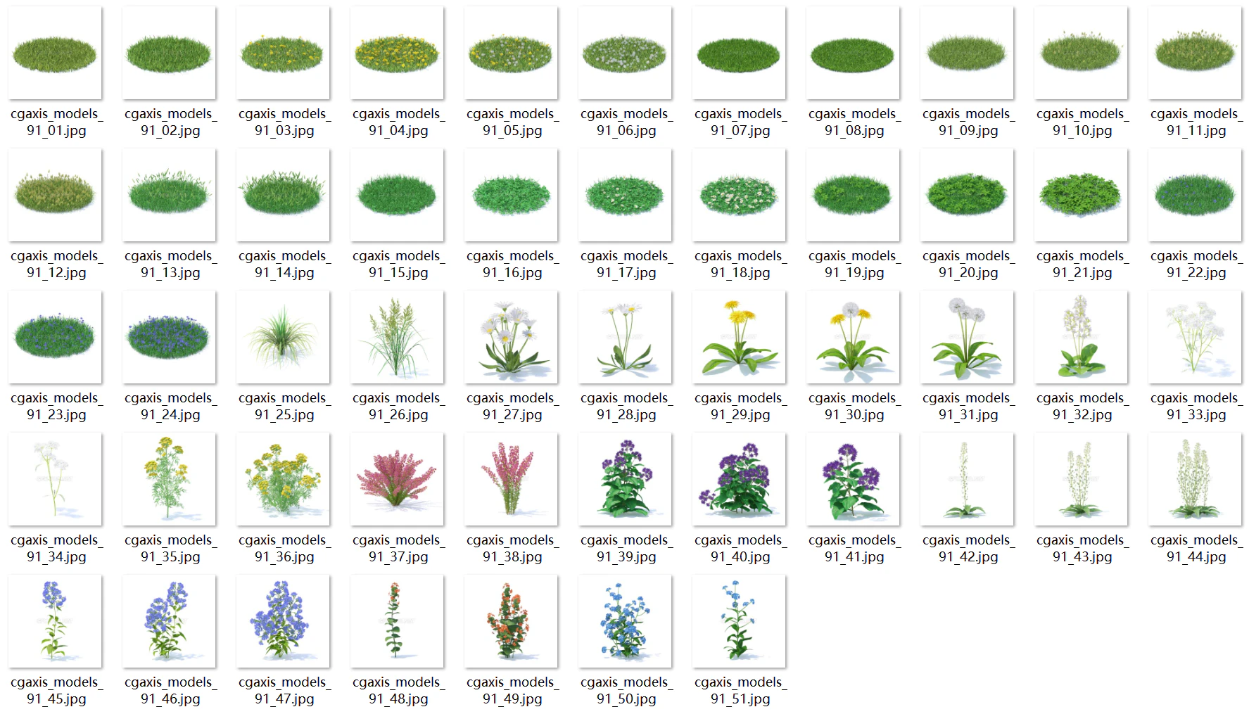 51 types of flowers and plants 3D Model .c4d .max .obj .3ds .fbx .stl .blend 
