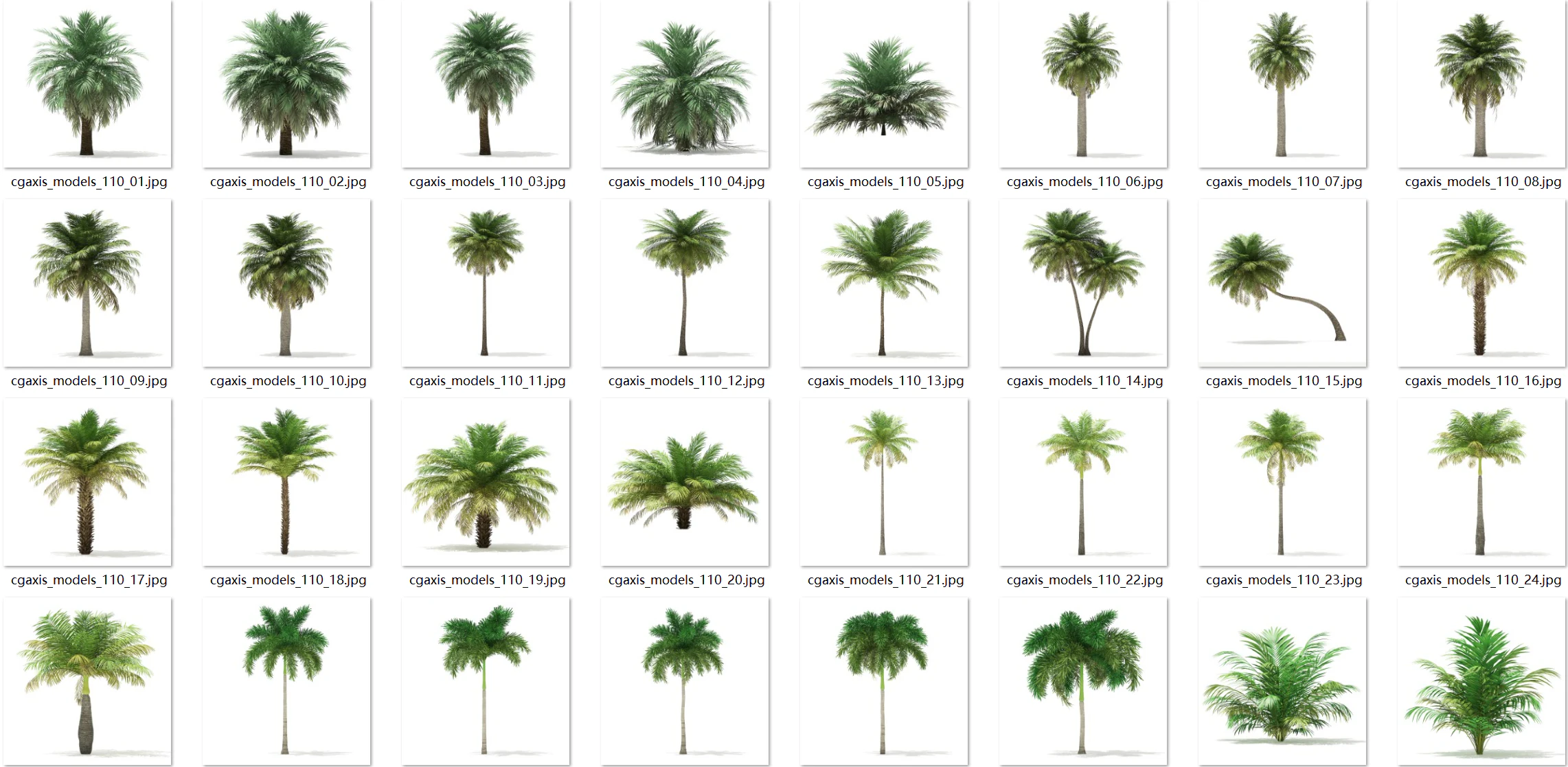 70 tropical trees 3D Model .c4d .max .obj .3ds .fbx .stl .blend