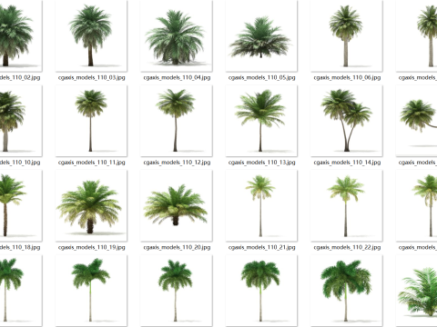 70 tropical trees Modelo 3D