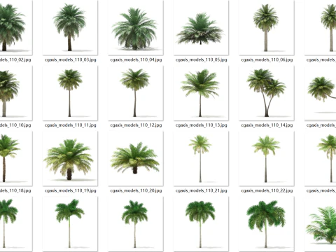 70 arbres tropicaux Modèle 3D