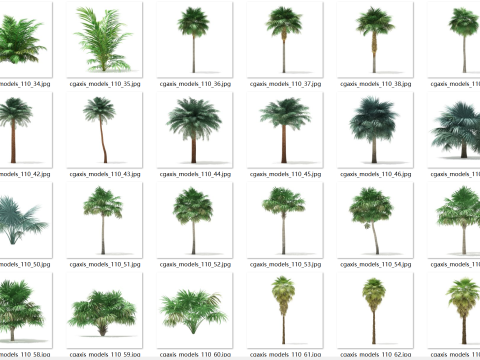 70 tropical trees Modelo 3D