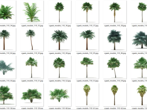 70 tropical trees 3D Model