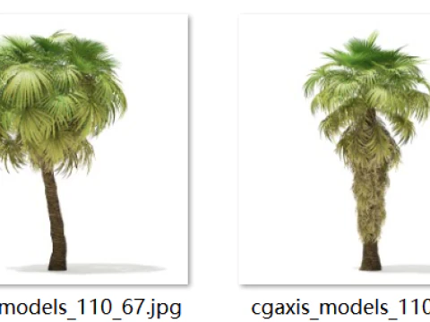 70 tropical trees 3D Model
