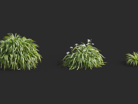 Aquatic plant model 3D 模型