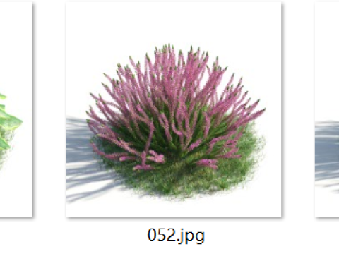 54 vibrant flowers and plants 3D Модель
