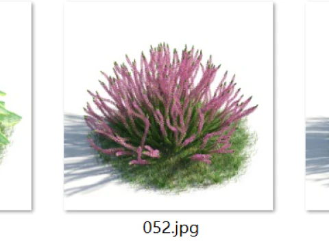 54 vibrant flowers and plants 3D Model